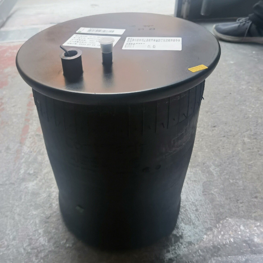 Пневмоподушка, задняя, в сборе WG9925528010