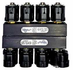 Рампа BIGAS 8-и дозаторная тип D1-21 версия FH 8C INJHS201800.