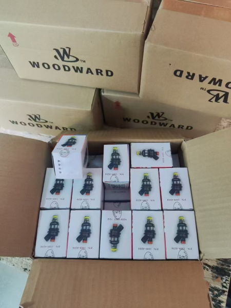 Основные причины выхода из строя газовых форсунок 1309-6234